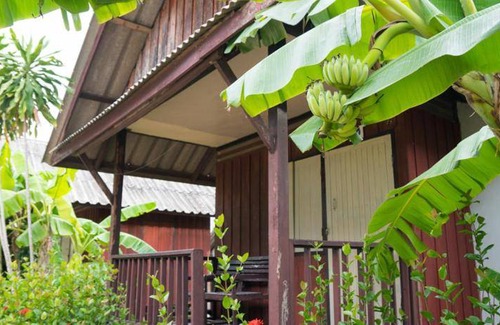 Lamai City Center Hotel | 30 m² Hotel ∙ 127 guests