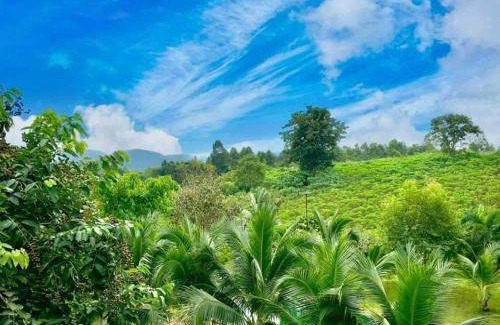 Mae Chan Bed & Breakfast | 35 m² Bed and breakfast ∙ 3 guests