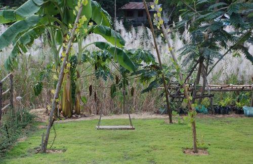 Bua Sali Bed & Breakfast | 40 m² Bed and breakfast ∙ 3 guests