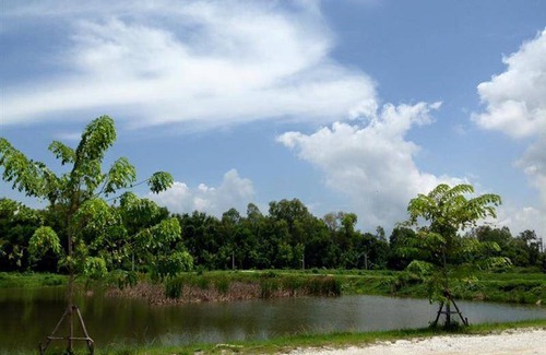 Rayong Resort | 60 m² Resort ∙ 9 guests