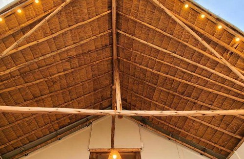 Chiang Rai Province Bed & Breakfast | 64 m² Bed and breakfast ∙ 4 guests