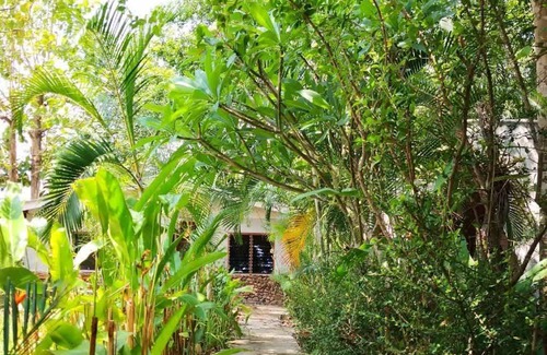 Pai Hostel | Hostel ∙ 8 guests