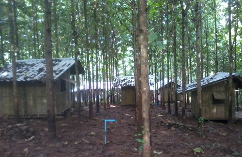 Samoeng Resort | Private room ∙ 2 guests