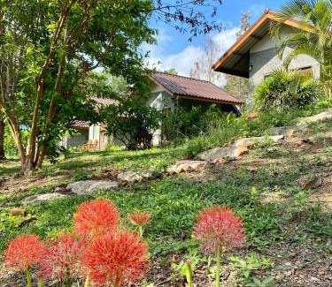 Pai Hostel | Tribal Pai
