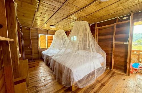 Doi Lo Ski Chalet | คีรีไพร โฮมสเตย์ อินทนนท์