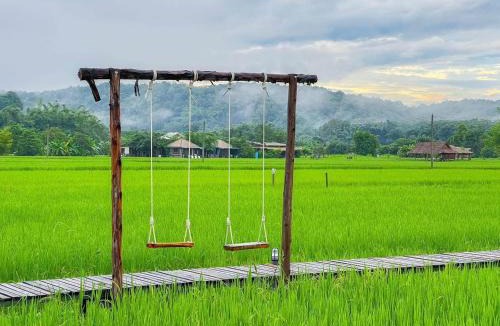 Chiang Dao House | บ้านผ่อดอยกอยดาวพรีเมี่ยม