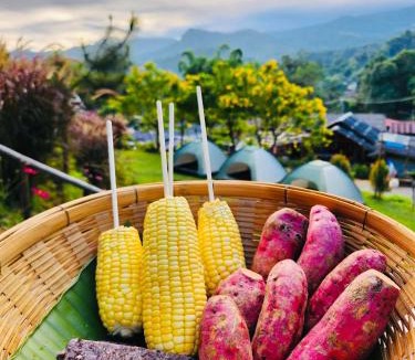 Doi Lo House | รักเขาอินทนนท์โฮมสเตย์ Doi inthanon Homestay