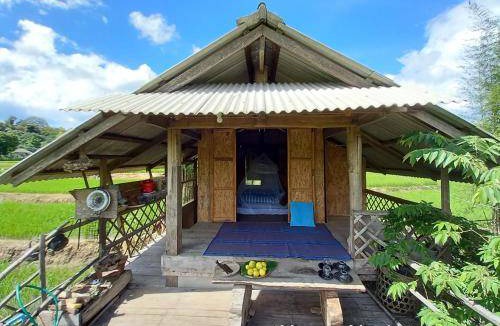 Chiang Dao Bed & Breakfast | 12 m² Bed and breakfast ∙ 6 guests