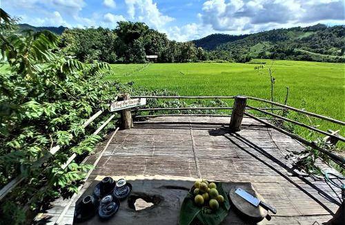 Chiang Dao Bed & Breakfast | 12 m² Bed and breakfast ∙ 6 guests
