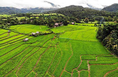 Chiang Dao Bed & Breakfast | 12 m² Bed and breakfast ∙ 6 guests