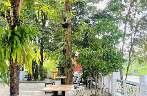 Tha Wang Thong Hotel | 16 m² Hotel ∙ 2 guests
