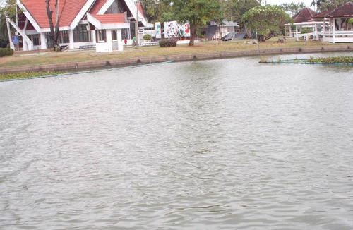Kalasin Apartment | 28 m² Serviced apartment ∙ 3 guests