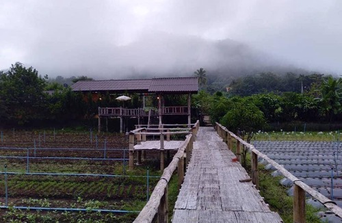 Samoeng Resort | 35 m² Resort ∙ 3 guests