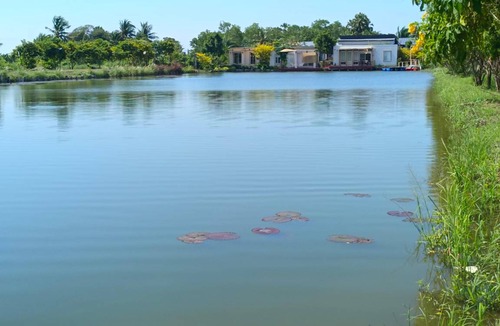 Bang Nam Prieo Villa | 40 m² Villa ∙ 2 guests