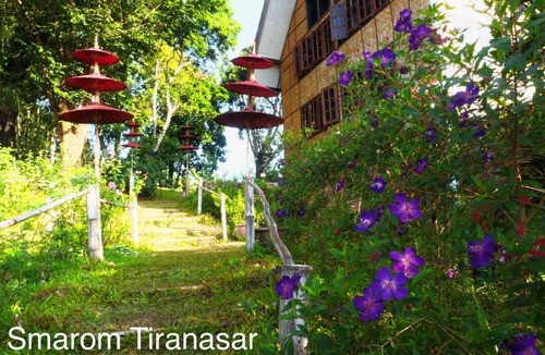 Mae Taeng Hotel | 48 m² Hotel ∙ 2 guests