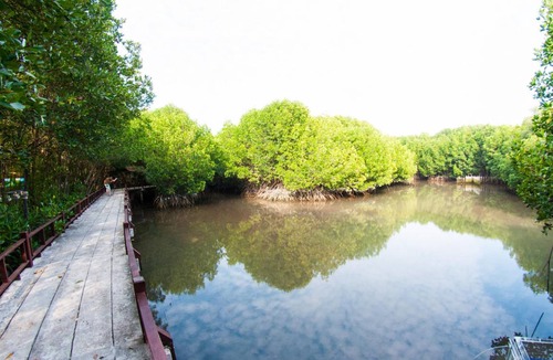Sam Roi Yot Resort | 60 m² Resort ∙ 2 bedrooms ∙ 127 guests