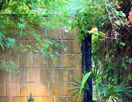 Hin Hong Resort | Alcove Bungalow