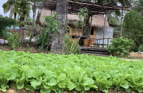 Huai Nam Khao House | Amarit Onsen Homestay