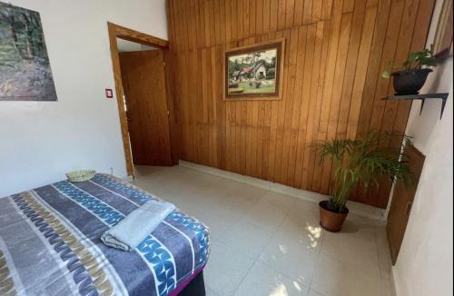 La Condesa Apartment | Amatlan