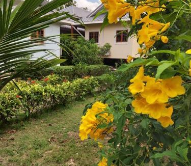 Fang Bed & Breakfast | Baan innto resort