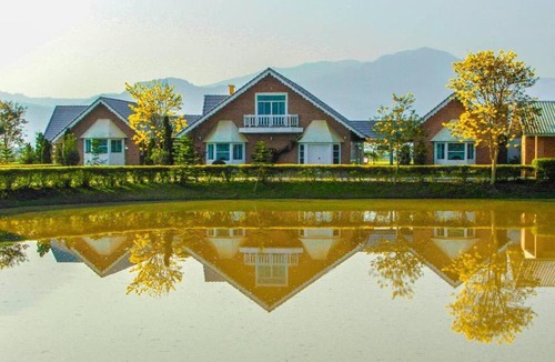 Mae Rai House | BaanChompufa บ้านชมภูฟ้า