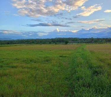 Mae Taeng House | BaanlungchuHomestay&Cafe