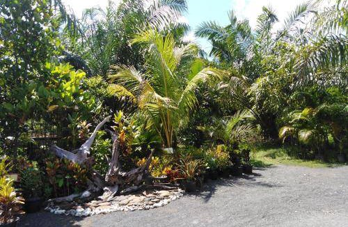 Phangnga Bed & Breakfast | Bed and breakfast ∙ 2 bedrooms ∙ 8 guests