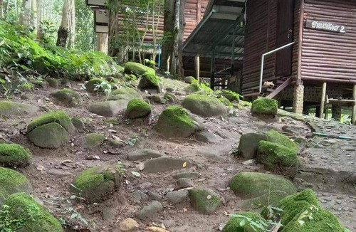 Chiang Dao District Bed & Breakfast | Bed and breakfast ∙ 4 guests