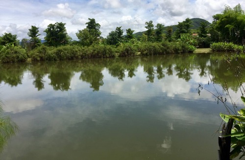 Pai Hotel | Bueng Pai Farm