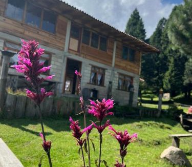 Ocoyoacac Ski Chalet | Cabaña El Descanso del Carpintero