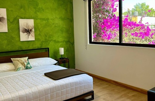 Narvarte Poniente Hotel | Casa Bamboo