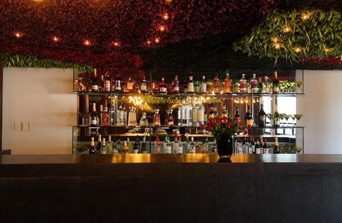 Cuernavaca Hotel | Casa Tabachin