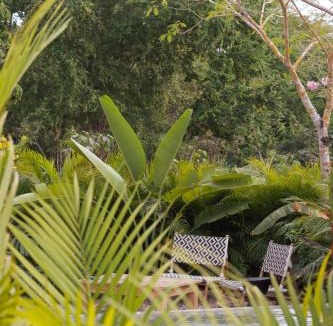 Punta Perula Apartment | Chamela Boutique Apartments