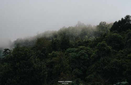 Chiang Rai Province House | Chi Bo ดอยช้าง