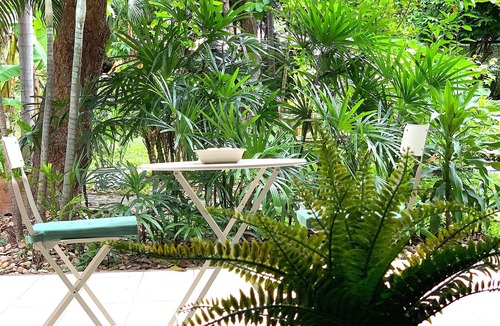 Samsen Nai Apartment | Cozy home in the garden,Central BKK,2mins to BTS Sanampao
