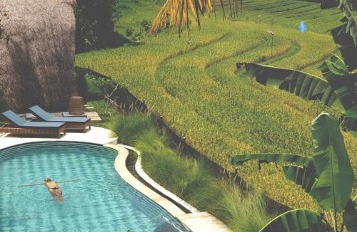 Selemadeg House | Dharma Oasis
