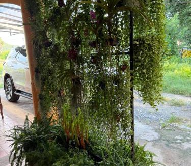 Bophut Hostel | Dikachaya Hostel