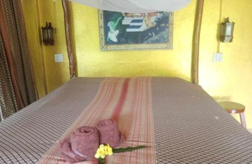 Phato House | Eco-Logic, Resort for Charity