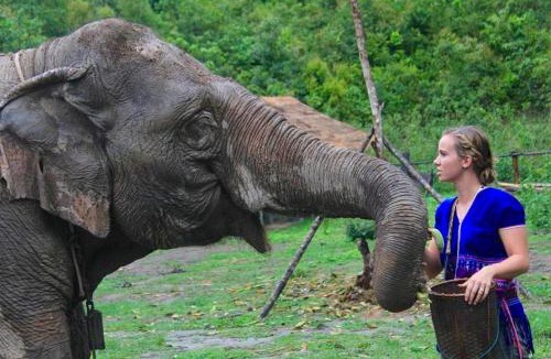 Hang Dong House | Elephant Jungle Eco Stay Chiang Mai