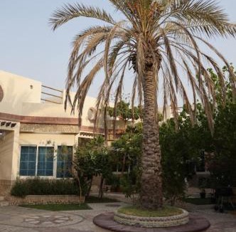 Mirdif Villa | Emirati Stay Comfort & Local Charm Villas - 3