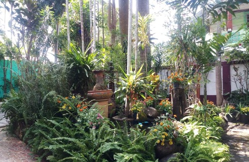 Chiang Rai Hostel | Garden House INChiangrai
