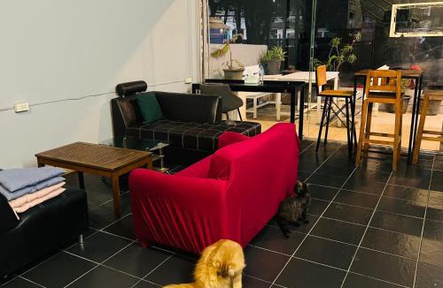 Wat Ket House | GREEN CURRY HOSTEL at Chang Klan