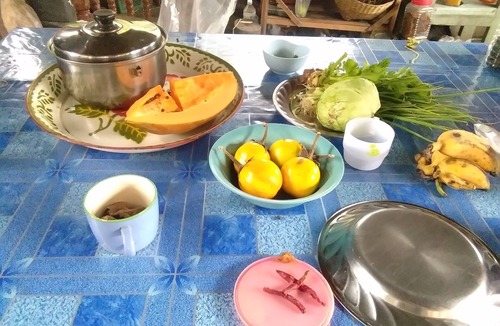 Pai House | Host family Pai learning nature (free pick up)