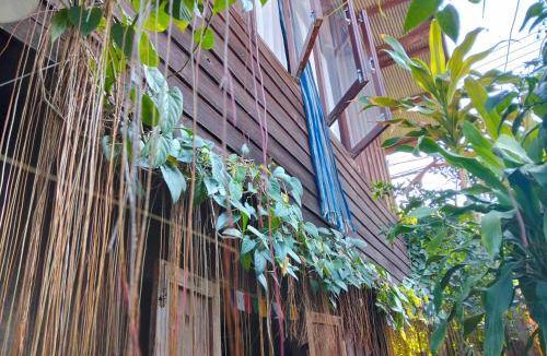 Pai Hostel | Hostel ∙ 4 guests