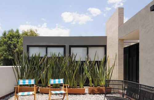 La Condesa Apartment | Increíble Suite En El Centro de la Condesa