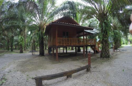 Khlong Sok Resort | Khao Sok Palmview Resort
