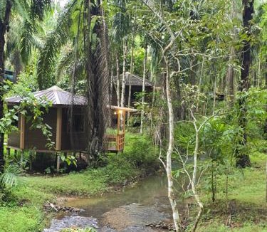 Khlong Sok Resort | Khao Sok Silver Cliff Resort