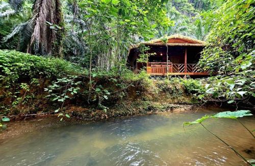 Khlong Sok Resort | Khao Sok Silver Cliff Resort