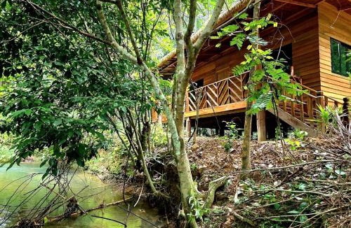 Khlong Sok Resort | Khao Sok Silver Cliff Resort