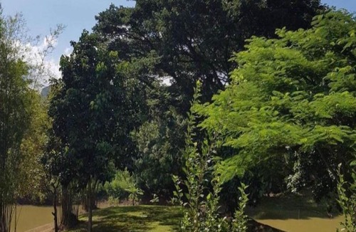 Mu Si House | Khao Yai Residence